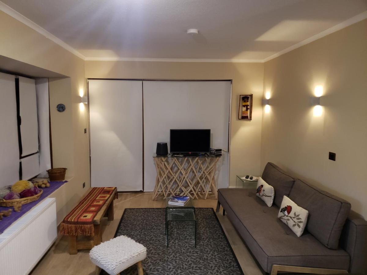 Valle Nevado Vip Apartment Ski Out-In Zewnętrze zdjęcie